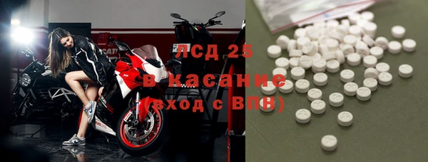 PSILOCYBIN Алзамай
