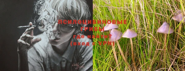 PSILOCYBIN Алзамай
