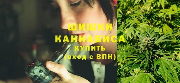 PSILOCYBIN Алзамай